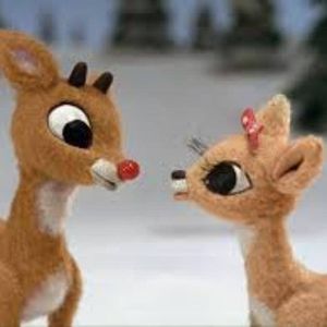 Meet your Posher, Kerri